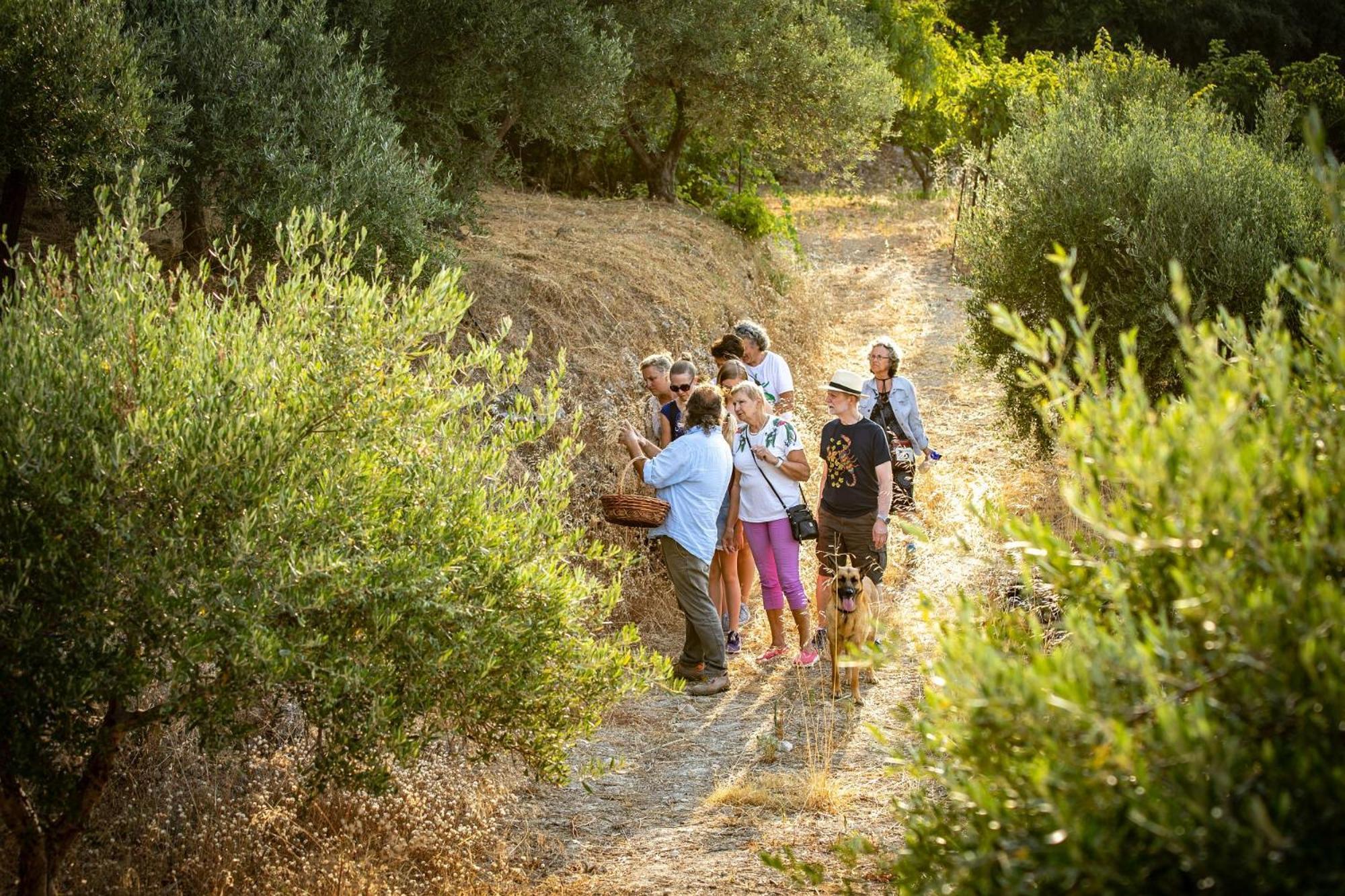 Κτήμα Δαλαμπέλος Ξενοδοχείο Αγγελιανά Εξωτερικό φωτογραφία